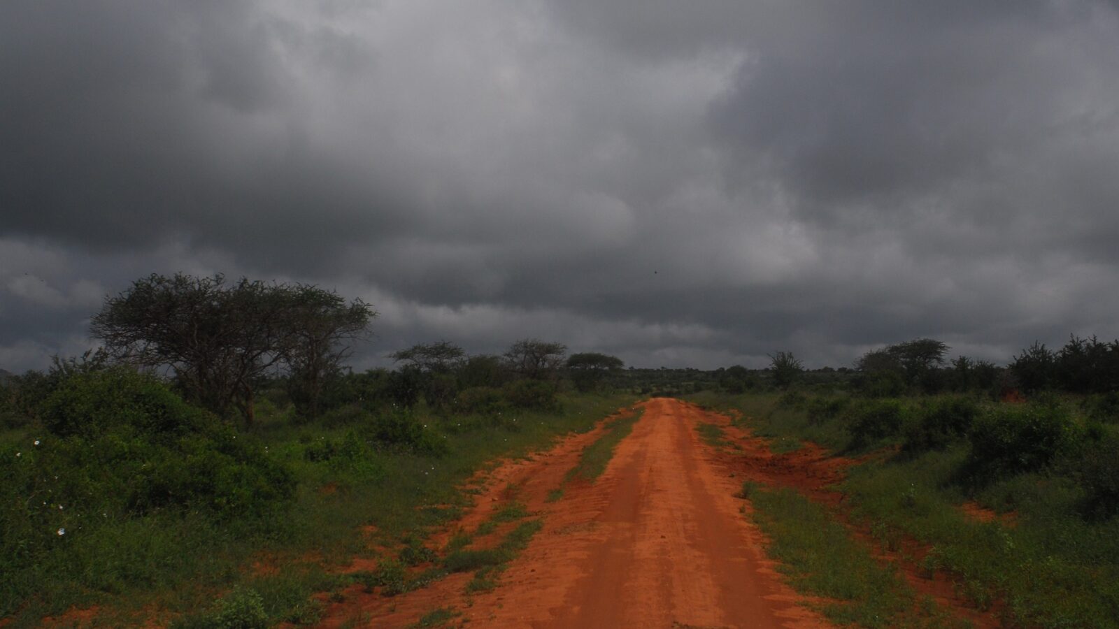 Kenyan countryside