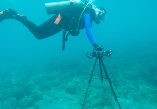 Setting up of Fish-I camera system within the area of study